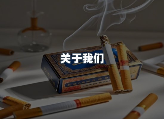 关于我们